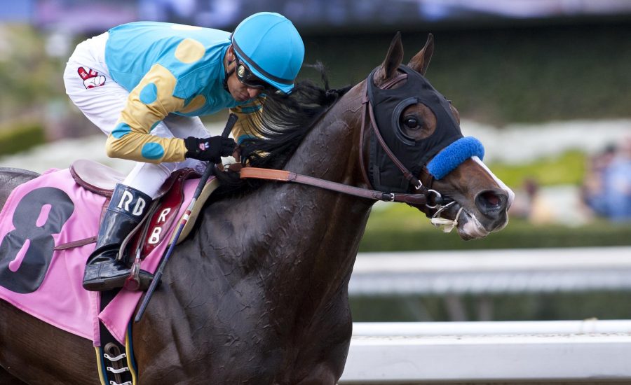 Bodemeister