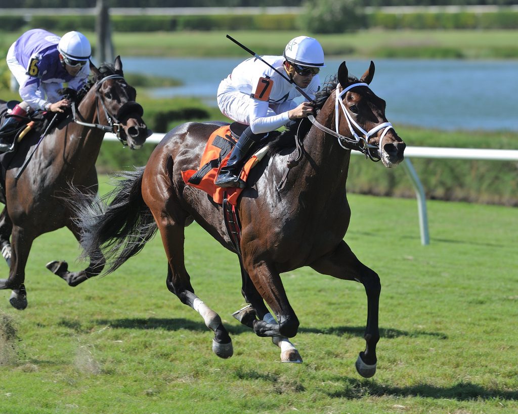 Master Plan winning at Gulfstream Park West