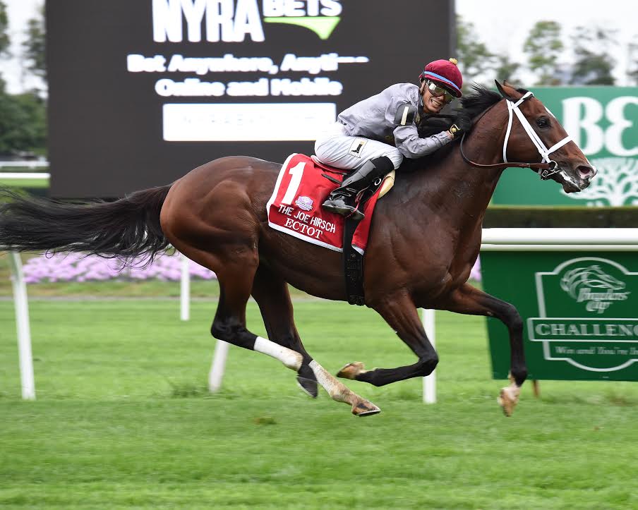 Ectot Wins G1 Joe Hirsch Turf Classic BSW Bloodstock