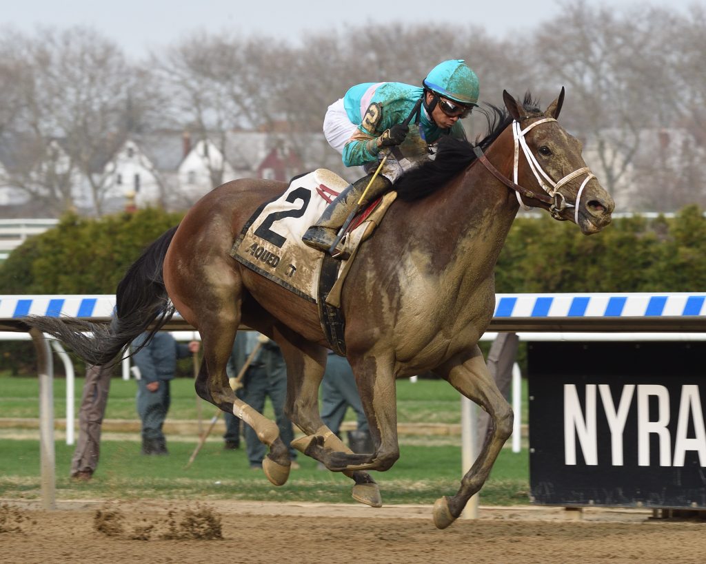 ANOTHER BROAD Best in the Top Flight Invitational BSW Bloodstock