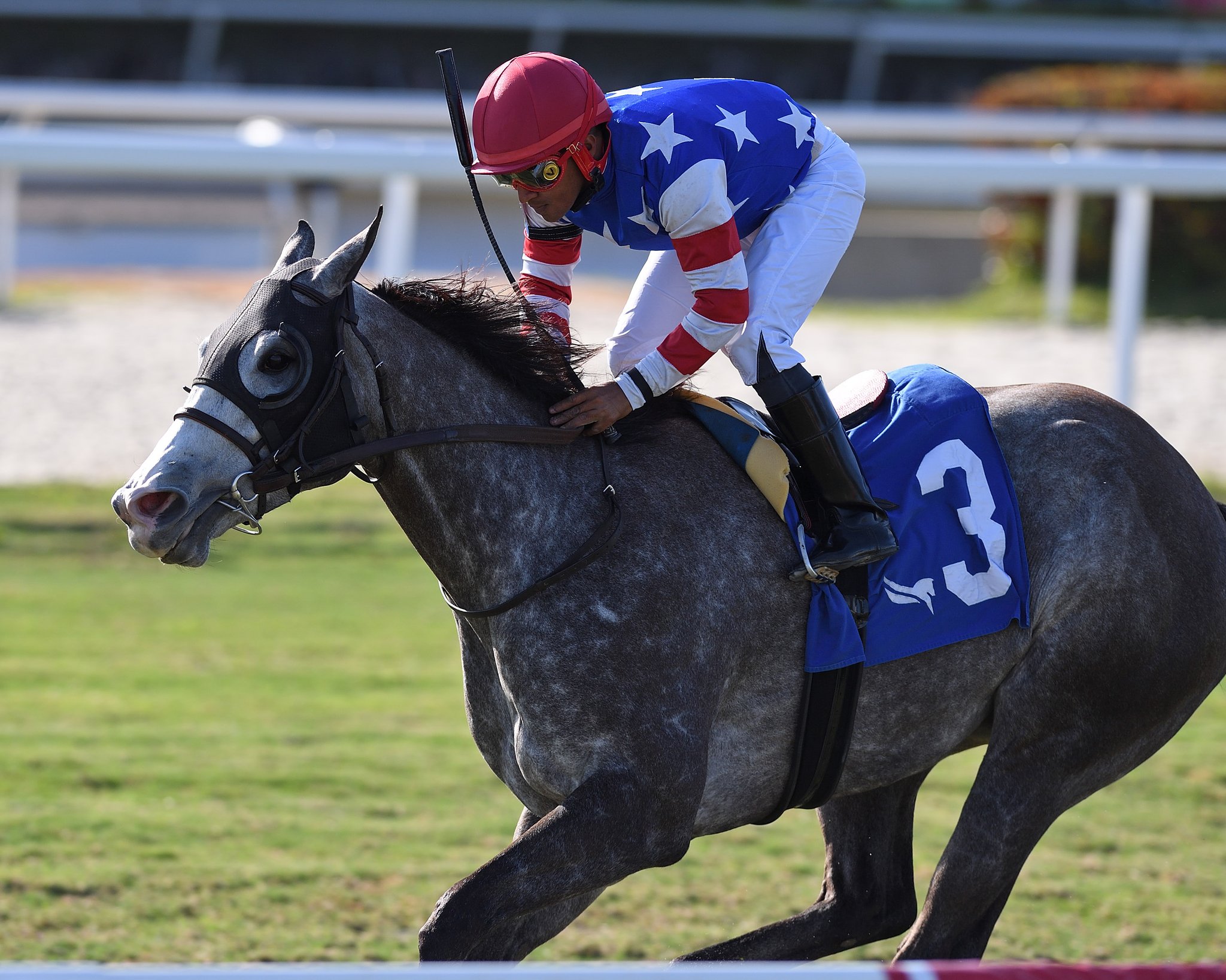 Crystal Cliffs Honey Pants Head Preakness Weekend Stakes Action BSW crystal-cliffs-honey-pants-head-preakness-weekend-stakes-action-bsw